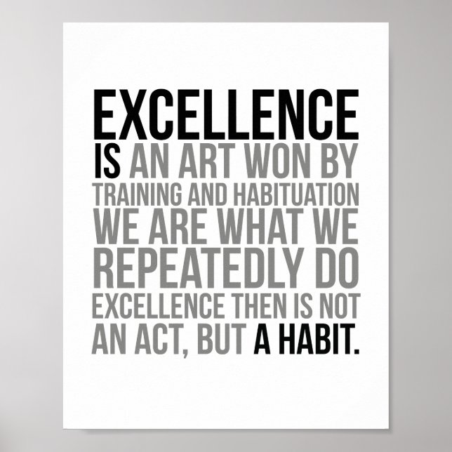 Excellence Is An Art Won By Training Poster (Front)