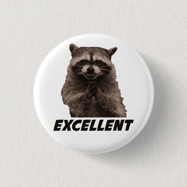 Excellent Evil Plotting Raccoon 1 Inch Round Button (Front)