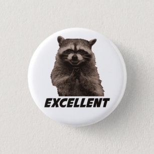 Excellent Evil Plotting Raccoon 1 Inch Round Button