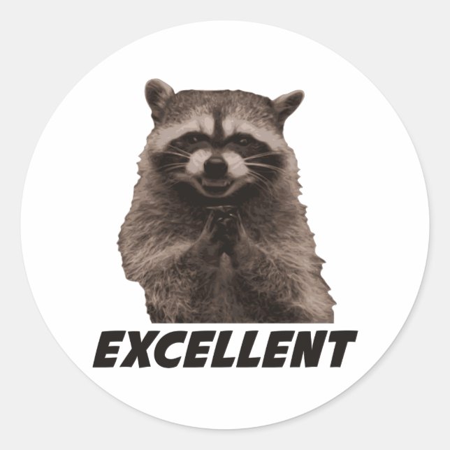 Excellent Evil Plotting Raccoon Classic Round Sticker (Front)