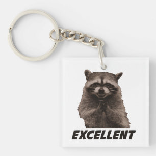 Excellent Evil Plotting Raccoon Keychain