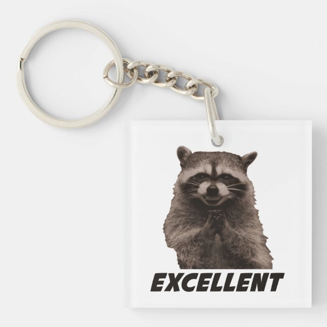 Excellent Evil Plotting Raccoon Keychain (Front)