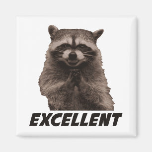 Excellent Evil Plotting Raccoon Magnet