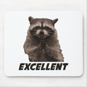 Excellent Evil Plotting Raccoon Mouse Pad