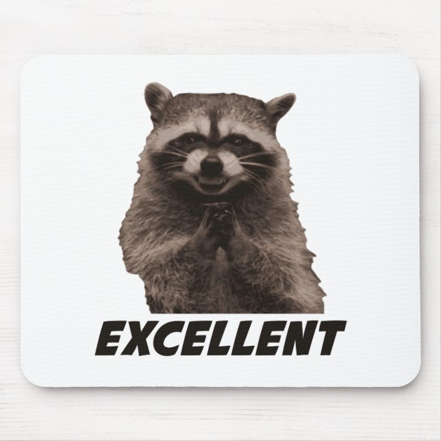 Excellent Evil Plotting Raccoon Mouse Pad (Front)
