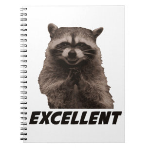 Excellent Evil Plotting Raccoon Notebook