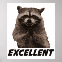 Excellent Evil Plotting Raccoon