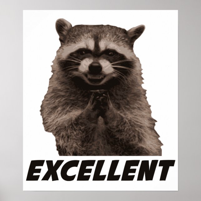 Excellent Evil Plotting Raccoon Poster (Front)