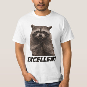 Excellent Evil Plotting Raccoon T-Shirt