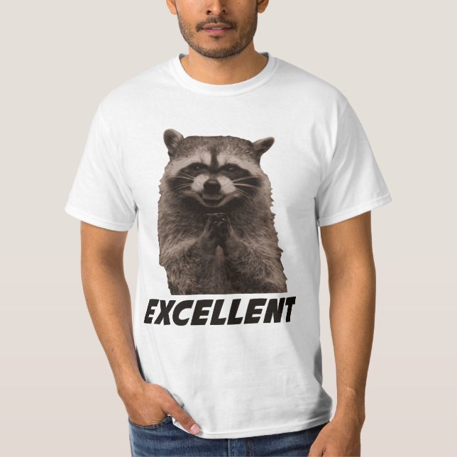 Excellent Evil Plotting Raccoon T-Shirt (Front)