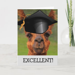 Excellent Llama Graduation Card
