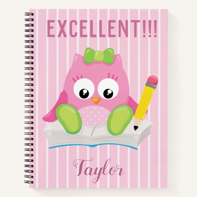 Excellent Pink Owl Notebook (Front)
