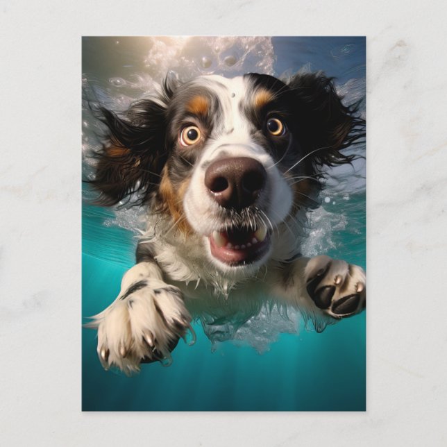 Excited Dog Swimming Underwater Design Postcard (Front)