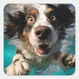 Excited Dog Swimming Underwater Design Square Sticker