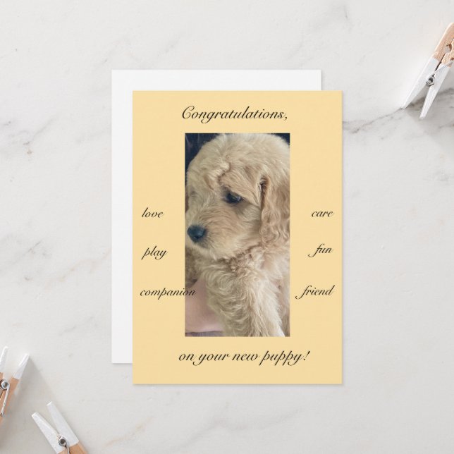 Excitement, joy & fun, new puppy, flat  card (Front/Back In Situ)