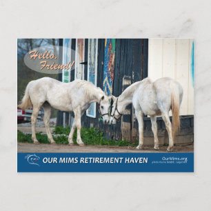 Exciting Bucket & Bel's Starlet postcard