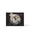 Exclusive Gold Black Floral Save the Date