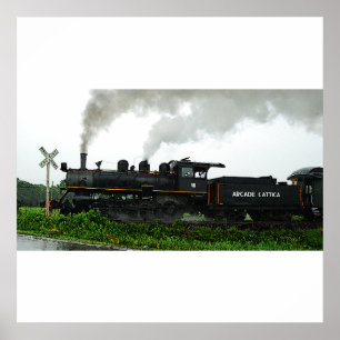 Excursion Train Poster
