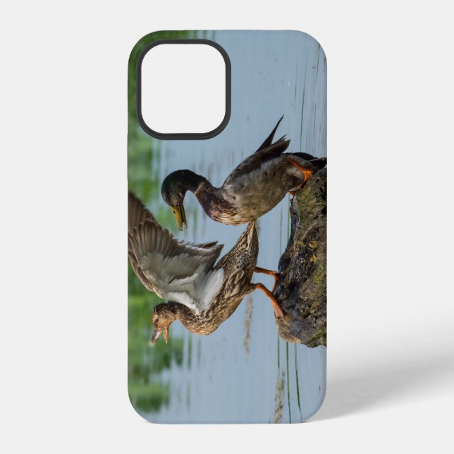 Excuse Me iPhone Case (Back)