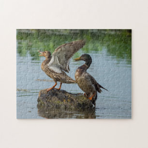 Excuse Me Jigsaw Puzzle