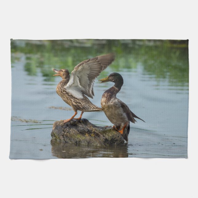 Excuse Me Kitchen Towel (Horizontal)