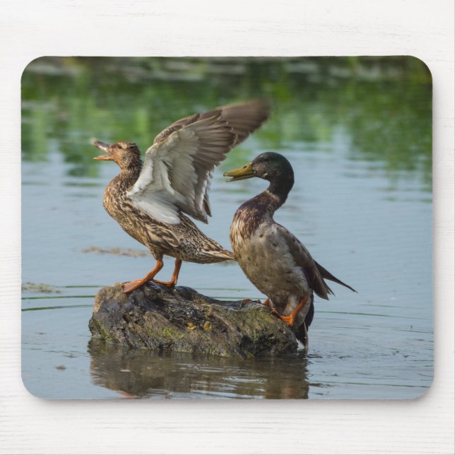 Excuse Me Mouse Pad (Front)