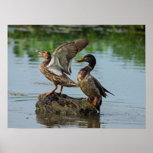 Excuse Me Poster (Front)