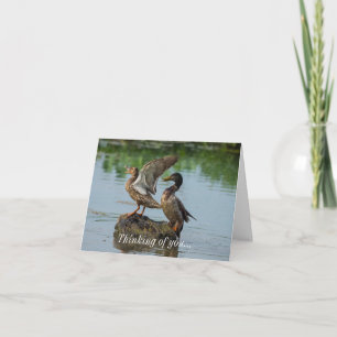 Excuse Me Thinking Of You Card