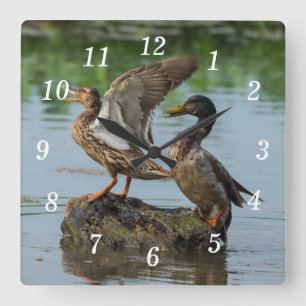 Excuse Me Wall Clock