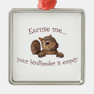 Excuse me...your birdfeeder is empty metal ornament