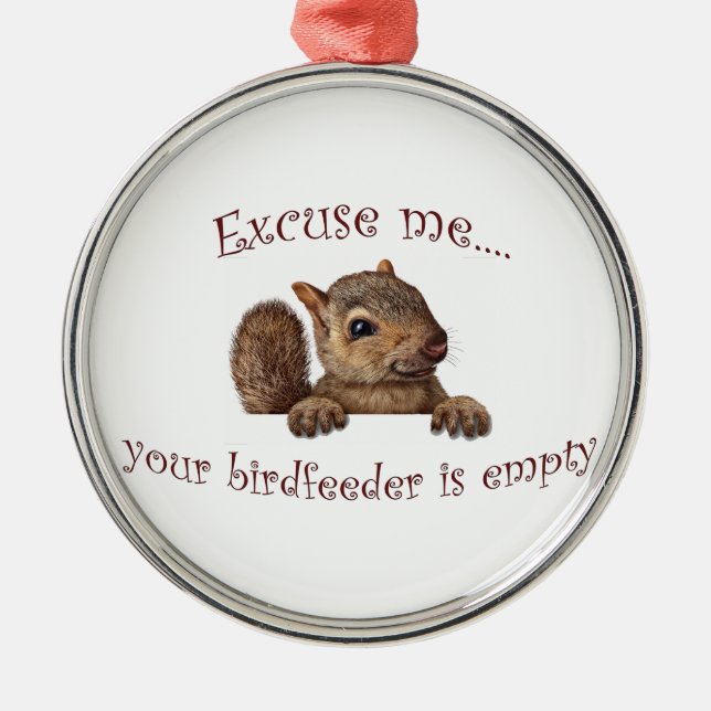 Excuse me...your birdfeeder is empty metal ornament (Front)