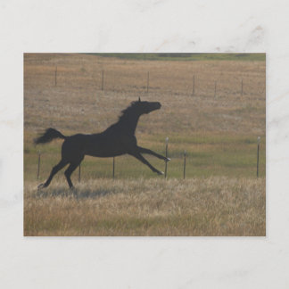 Exécuter avec la carte postale Vent