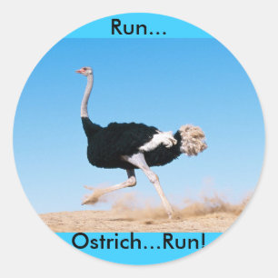 Exécuter Ostrich Run Sticker