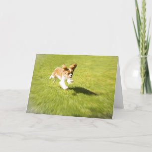 Exécutez Puppy Run Dans la carte de voeux de triag