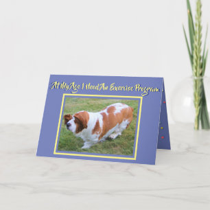 Exercice amusant Carte d'anniversaire avec Basset 