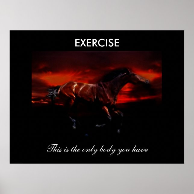 Exercise Poster (Front)