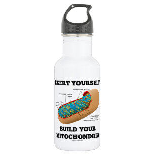 Exert Yourself Build Your Mitochondria 532 Ml Water Bottle