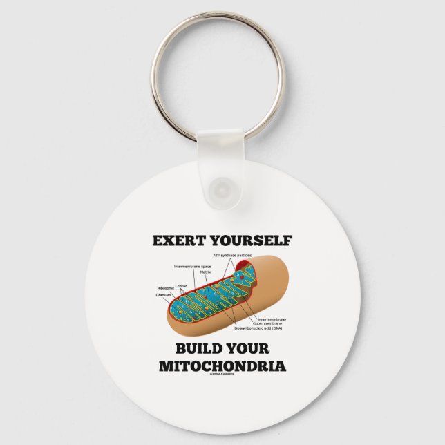 Exert Yourself Build Your Mitochondria Keychain (Front)