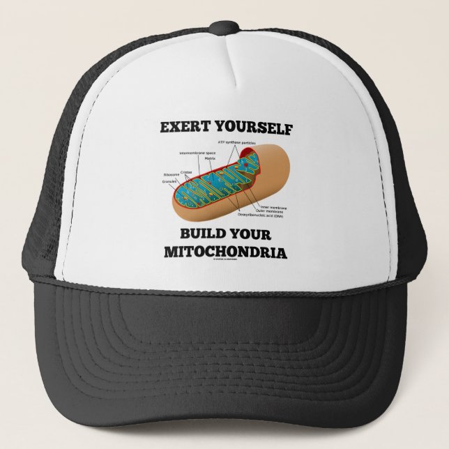 Exert Yourself Build Your Mitochondria Trucker Hat (Front)