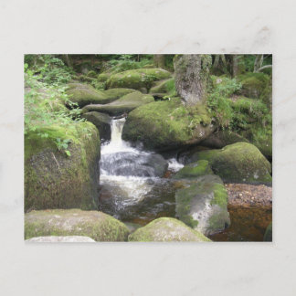 exeter 2009 105 postcard