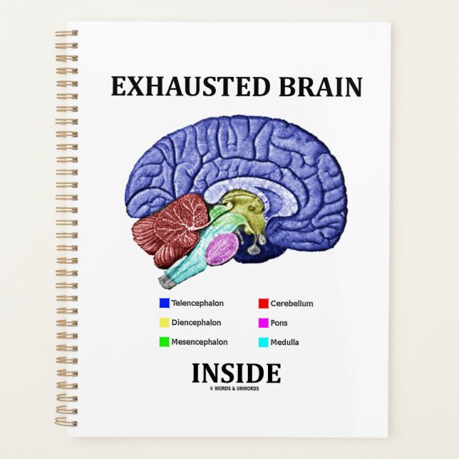 Exhausted Brain Inside Anatomical Brain Humour Planner (Front)