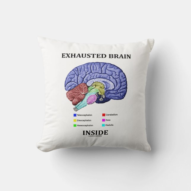 Exhausted Brain Inside Anatomical Brain Humour Throw Pillow (Front)