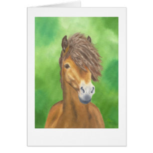 Exmoor pony card