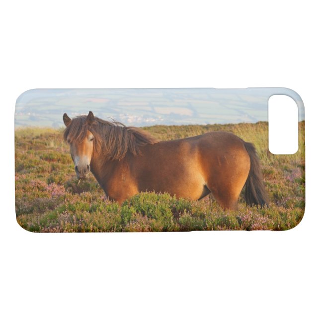 Exmoor pony, horse, Somerset, England Case-Mate iPhone Case (Back (Horizontal))