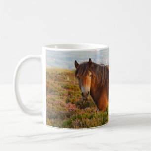 Exmoor pony, horse, Somerset, England Coffee Mug