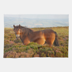 Exmoor pony, horse, Somerset, England Kitchen Towel