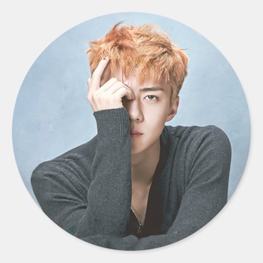 exo sehun stickers zazzleca