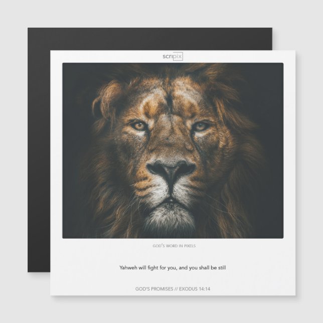 Exode 14:14 GODS PROMISES CARTE magnétique SCRIPIX (Devant / Derrière)