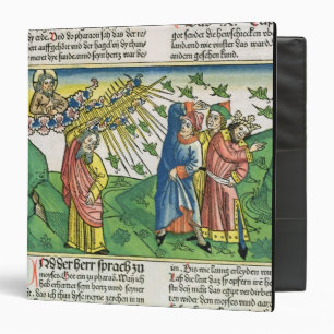 Exodus 10:1-20 The Seven Plagues of Egypt: the pla Binder