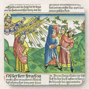 Exodus 10:1-20 The Seven Plagues of Egypt: the pla Coaster